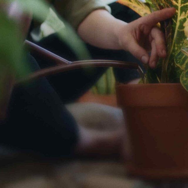 post_07 post_07