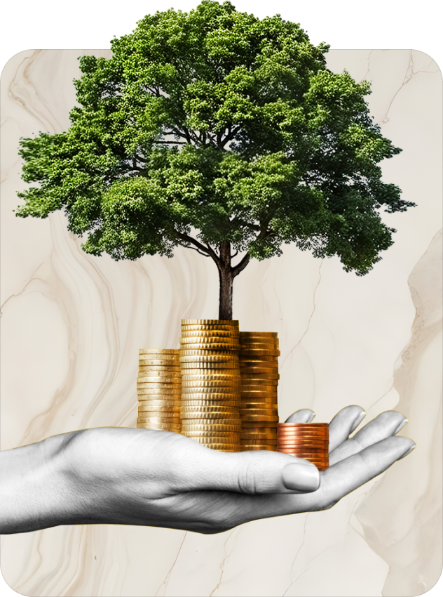 image_02 https://anahata.biz/wp-content/uploads/2024/09/image_02.png