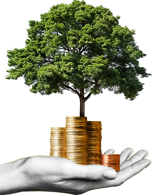 image_group_02 https://anahata.biz/wp-content/uploads/2024/09/image_group_02.png